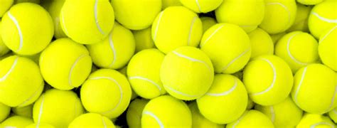 palline di prada|Contenitore palline da tennis .